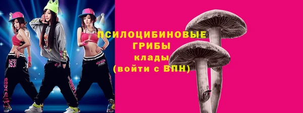 амф Алзамай