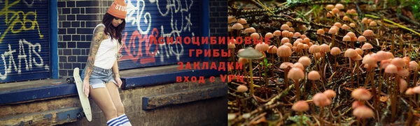 мяу мяу мука Алексеевка