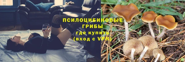 мяу мяу мука Алексеевка