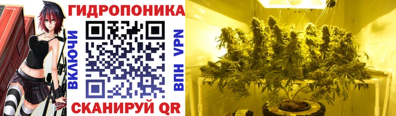 МЕГА ТОР  Старая Русса  Шишки марихуана LSD WEED 